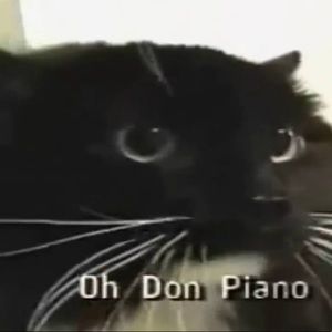 Meet your Posher, Evan